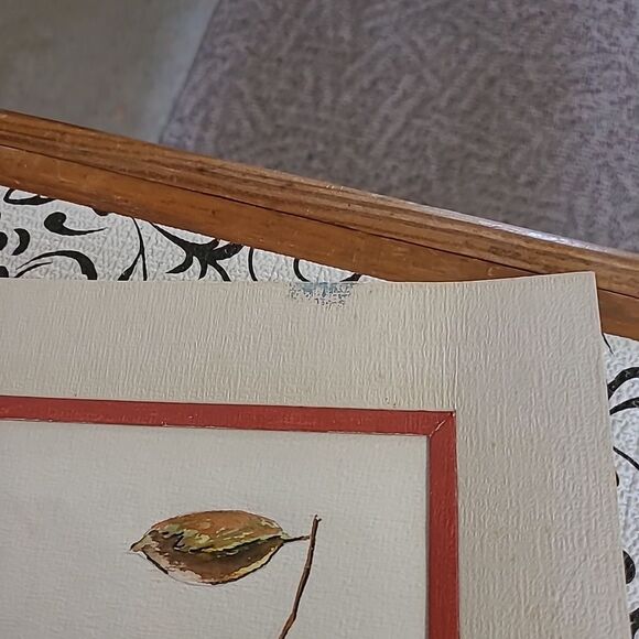 Persimmons Drawing  - Picture 8 of 8